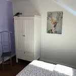 Lujzi *